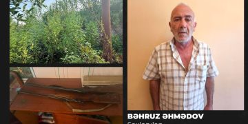 Göyçayda narkotik tərkibli bitkilər yetişdirən şəxs tutulub