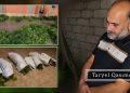Sabirabadda həyətində narkotik tərkibli bitkilər yetişdirən şəxs saxlanılıb