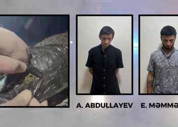 Göyçayda 3 kiloqramdan artıq narkotik vasitə aşkarlanıb