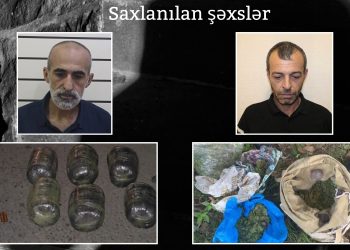 Lənkəranda 17 kiloqramdan artıq narkotik vasitə aşkarlanıb -DİN
