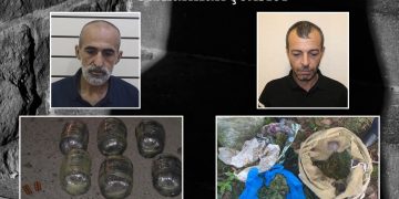 Lənkəranda 17 kiloqramdan artıq narkotik vasitə aşkarlanıb -DİN