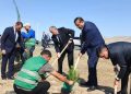 Anım Günündə Hacıqabulda ağacəkmə aksiyası keçirilib